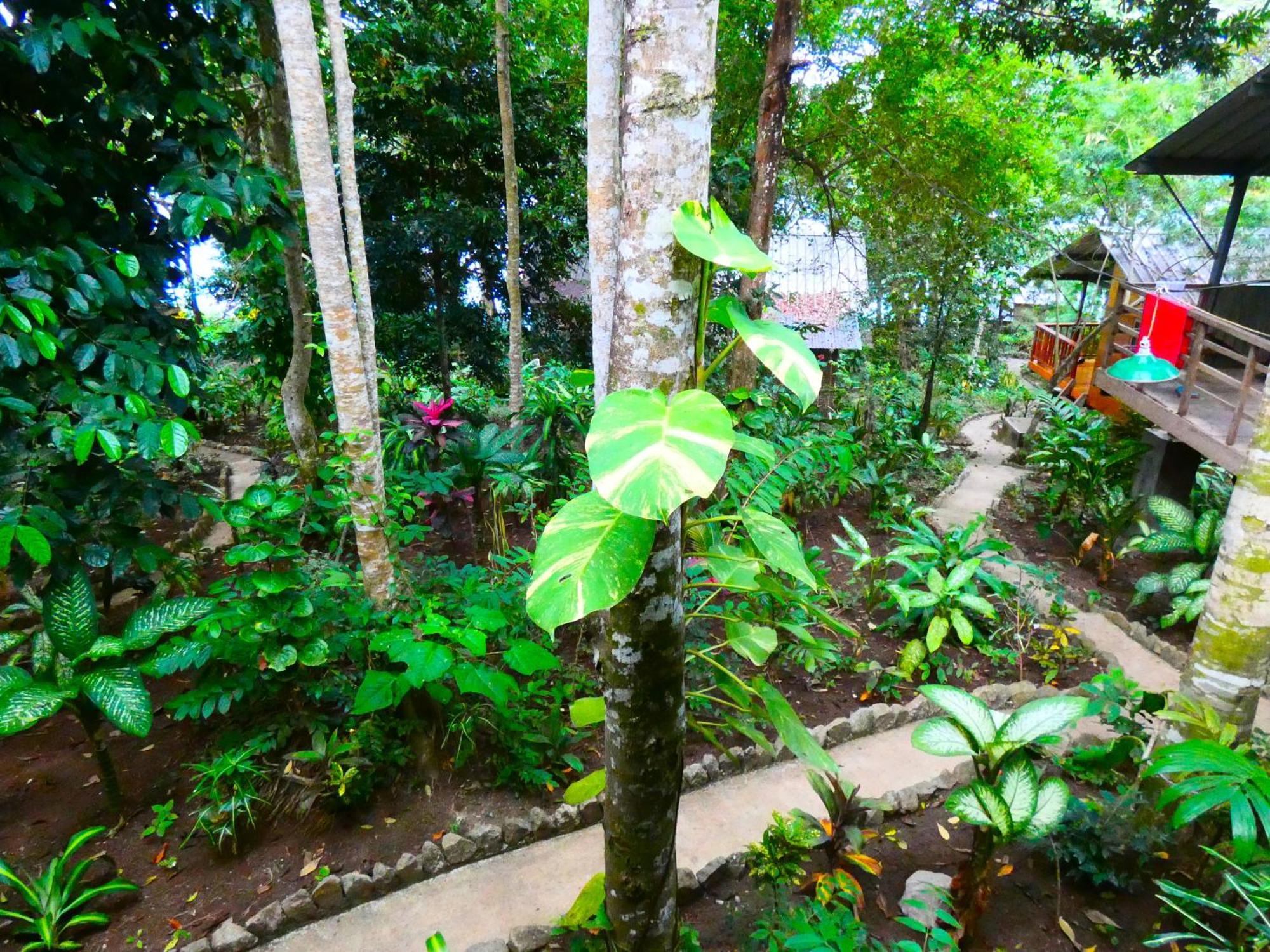 Santi Garden Bungalows Iboih Extérieur photo