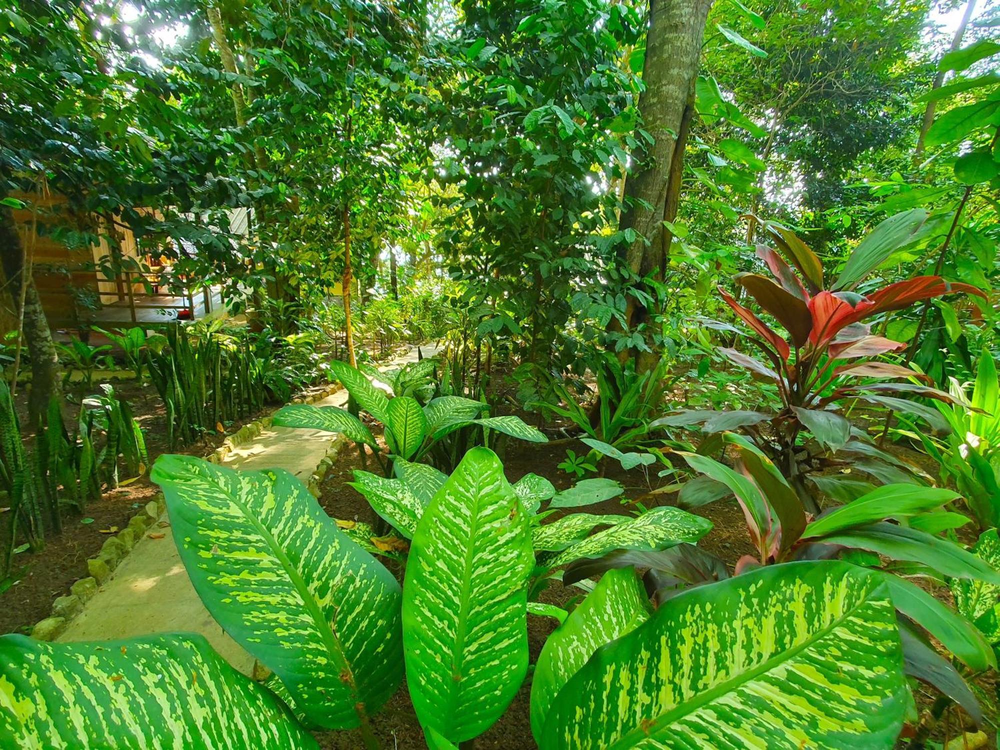 Santi Garden Bungalows Iboih Extérieur photo