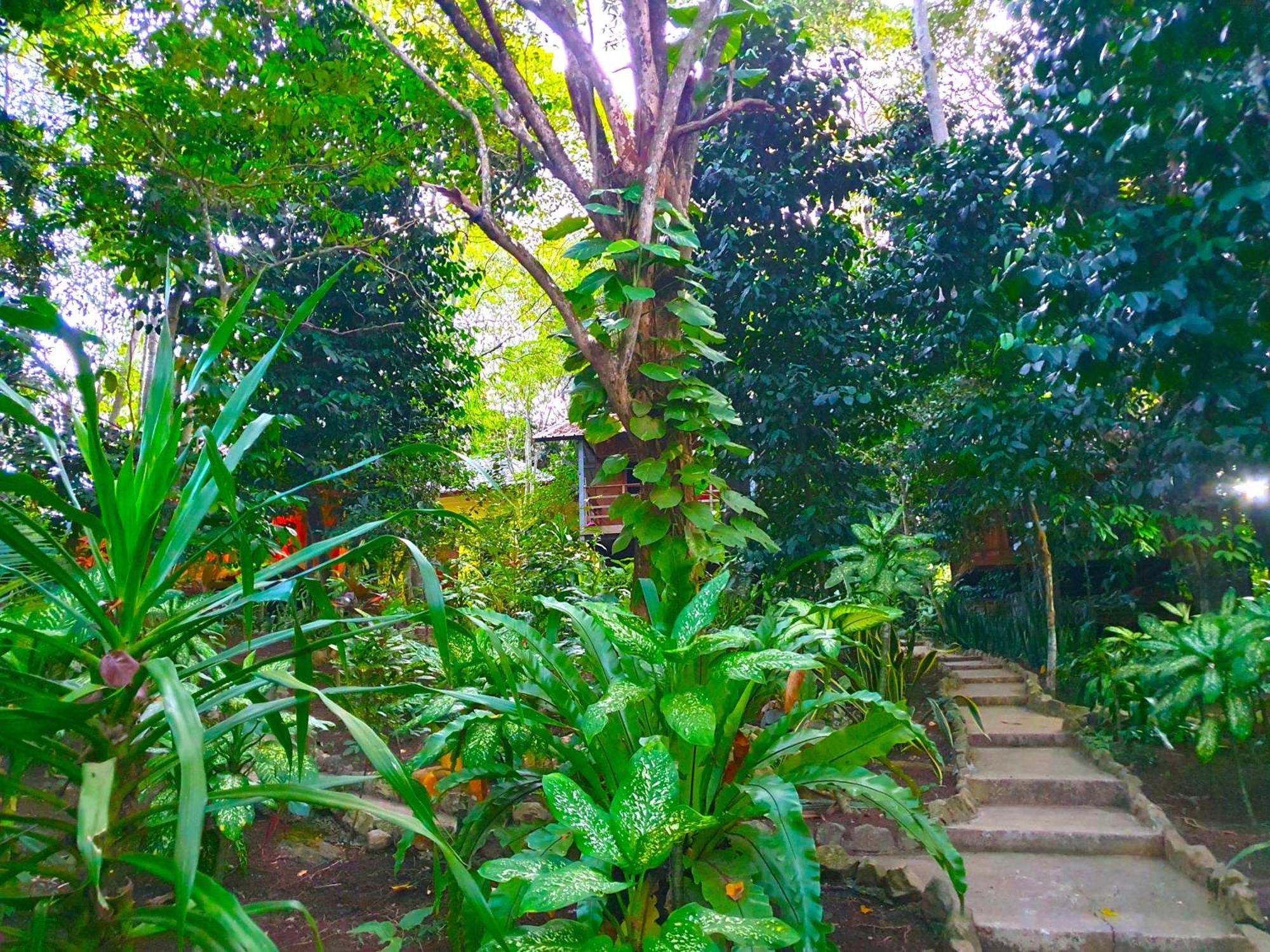Santi Garden Bungalows Iboih Extérieur photo